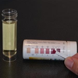 Free Ketosis Meal Plan